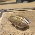 鮨　いの - 松山市春子鯛