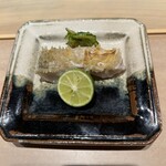 鮨　いの - 松山アマダイ