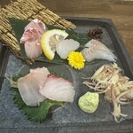 地酒と肴のお店 わだち - 