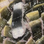 おゝ杉 - 背の黄色いものがまだ天然です