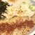 札幌ラーメン キヨリト - 料理写真: