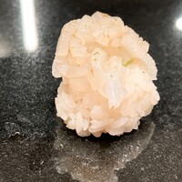 鮨と天草大王 天音 - 