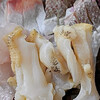 寿し秀 - 