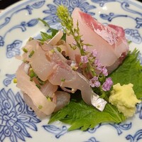 澤田 - ④黄茅渟(キチヌ、別称:キビレ、兵庫県明石産)
                      ⑤真鯵(兵庫県淡路島産)のタタキ