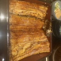 赤坂ふきぬき - 