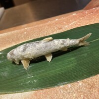 天ぷら 大坂屋 草哲 - 稚鮎