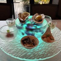 スミレオオサカ - 