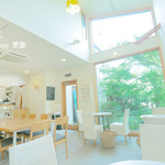 MOMI-CAFE - 