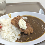 鮫洲運転免許試験場 食堂 - 料理写真:私は夏場の更新なので今回は白身魚フライのカレー