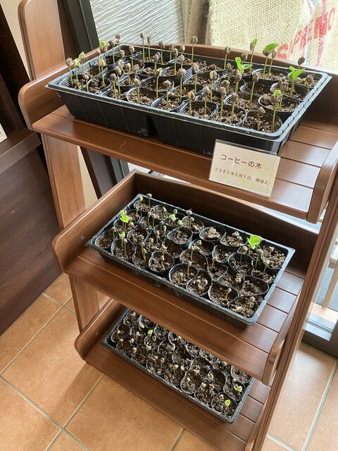 西珈琲店 - 帯広（その他）の写真