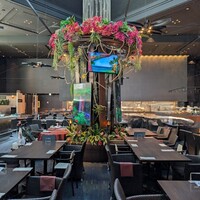 リュクス ダイニング ハプナ - 