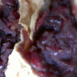 たいやき札幌柳屋 - 2014/09