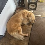 イル・ピッツァイオーロ - 