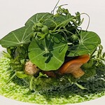 ラ・ヴァガボンド - 貝