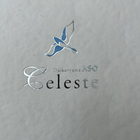 代官山ASO チェレステ 二子玉川店 - 