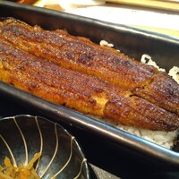 うなぎ四代目菊川 ムスブ田町店 - 