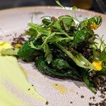 TOKi - 大地を思わせるお野菜