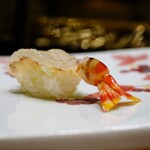 鮨 井上 - 車海老