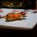 鮨 井上 - 車海老の頭