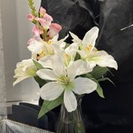 MOLO DI IIDABASHI - 