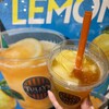 タリーズコーヒー  ルクアイーレ5F店