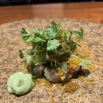 luogo - 石川真鯵カルパッチョ　ハーブ仕立てサラダ　マンゴービネガー　宮古島枝豆(茶豆)