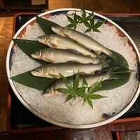 土佐料理 祢保希 赤坂店 - 