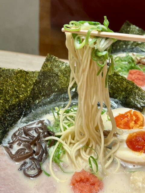 Tonkotsu Menya Ichibanken Noritakeshin Cho Ten photo 3