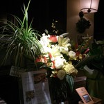 ピノサリーチェ - 花だ