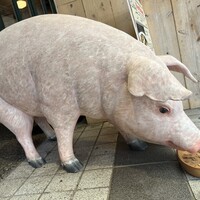 RUBY JACK'S SEAFOOD & STEAK - 