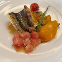 Mar Rosso - 