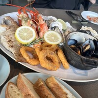 COLONIAL BEACH 横浜ハンマーヘッド - 