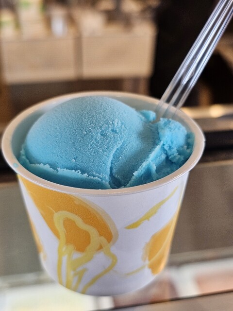 羅針盤 - 浪岡（ジェラート・アイスクリーム）の写真