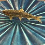 旬彩天 つちや - 