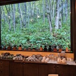 珈琲 森の時計 - 