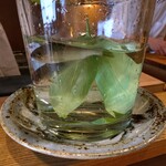 陽 - 赤石川の天然鮎