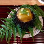 陽 - むらさきうに  とうもろこし豆腐