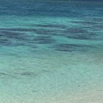 Ikemajima gelato cafe Ninufa - この眺めを見ながら過ごせます