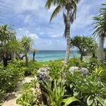 Ikemajima gelato cafe Ninufa - カウンター席からの眺め