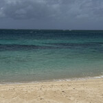 Ikemajima gelato cafe Ninufa - ずっと眺められます