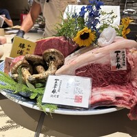 きたん 韻 - 