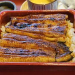 蕎麦遊膳 初花 - 