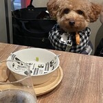 Cafe＆Bar Aile Ange - 