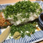 とんかつ日刈り - おろしとネギのとんかつ