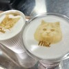 Cat Cafe MOFF minamoa - 