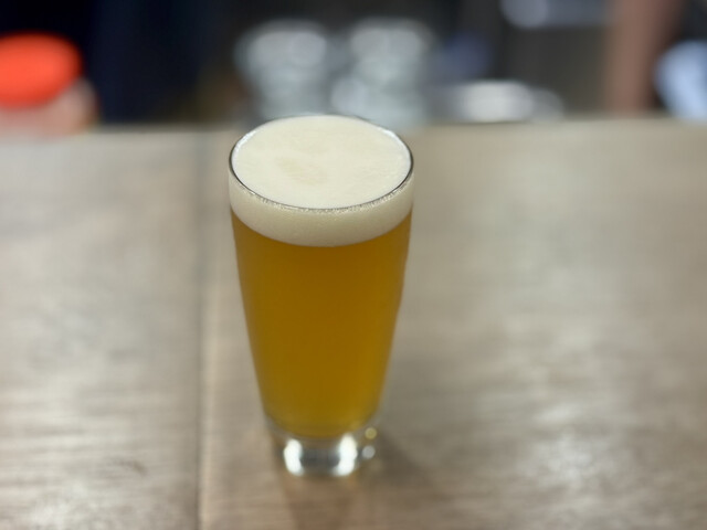 クラフトでございます Amazon.co.jp: クラフト社 レザークラフト用 SK刻印 SKV463 8461