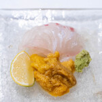 うを徳 - 2025.7 お造り（明石の鯛、奥尻島産塩水ムラサキウニ、宮崎産へべす）