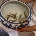 御料理 まつ山 - 