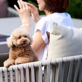 「都会のオアシス」として人気のテラスはペット同伴も可◎
