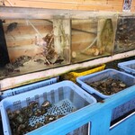 お食事処 かにや - 